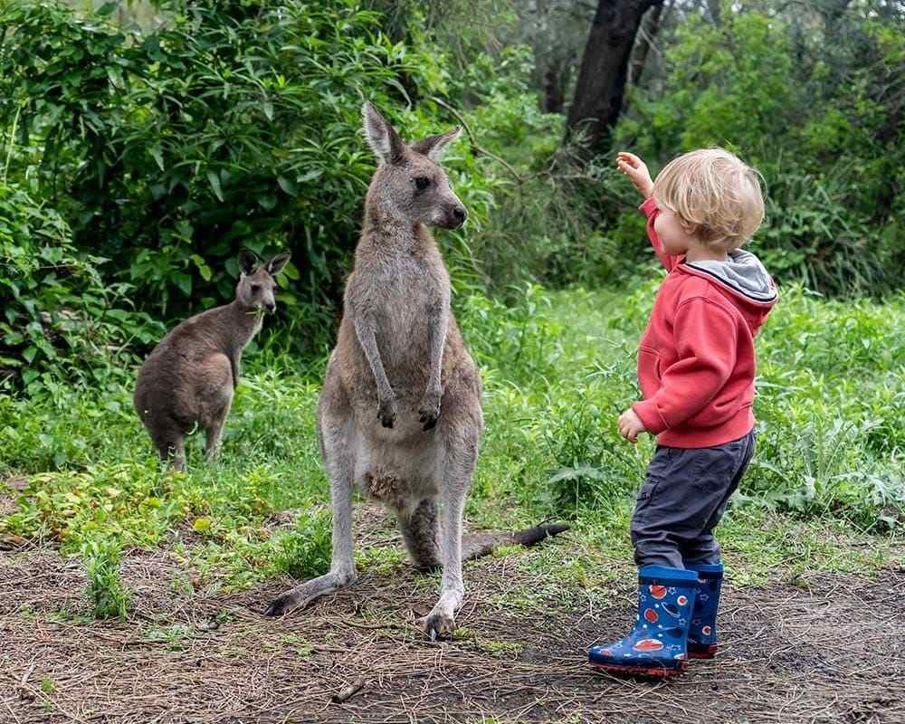 WhatsApp Image 2024-07-11 at 12-compressed (3)